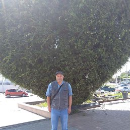 �������, ������, 48 ���