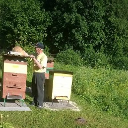 ϸ��, �������, 86 ���