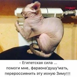 ���� ������, ���������, 38 ��� - ��������� 15 ������� 2023