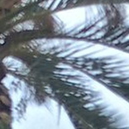 ��������, ��������, 51 ���