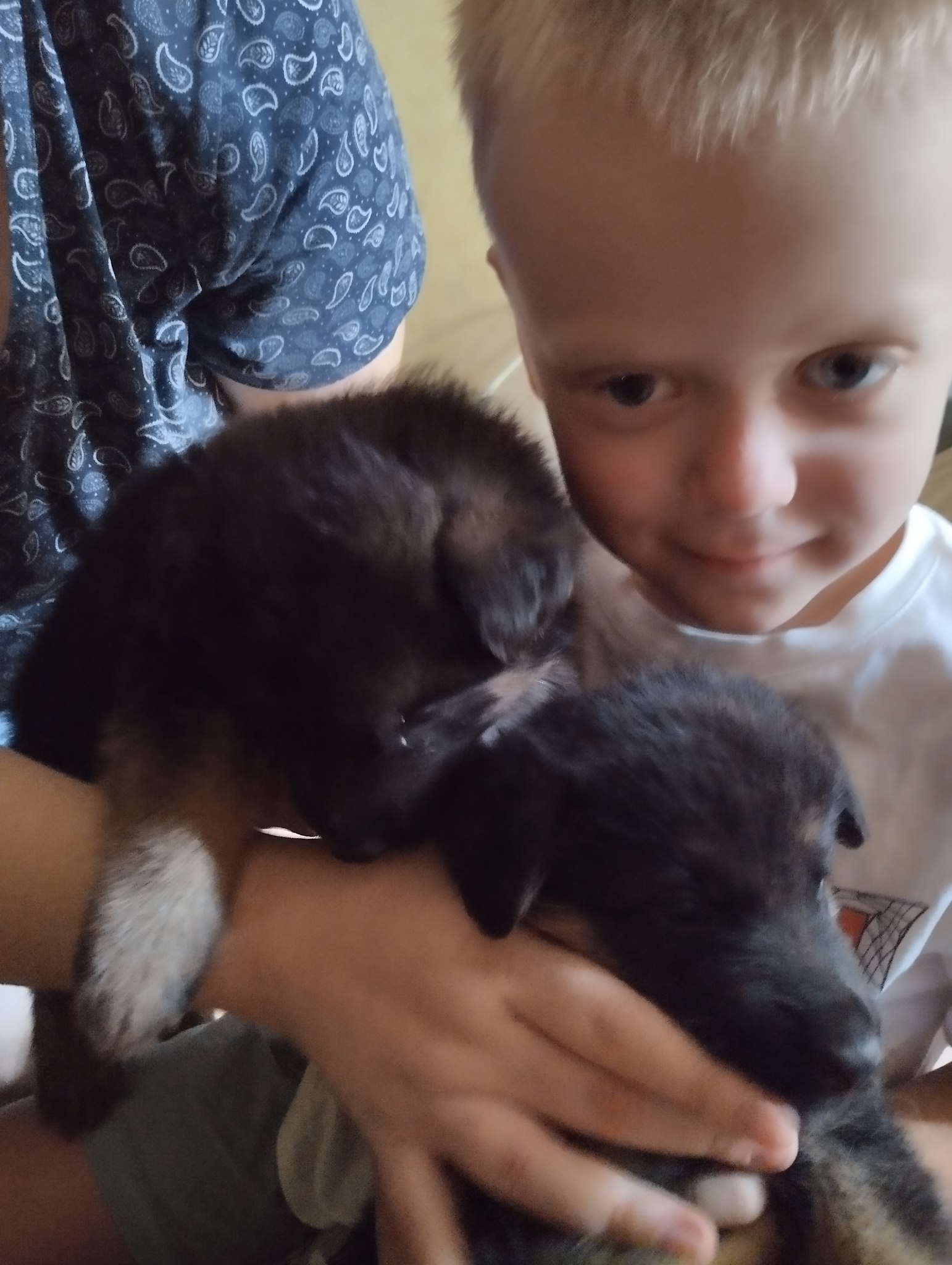 Mariya - 25  2025  15:50