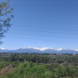 �����, �����������, 60 ���