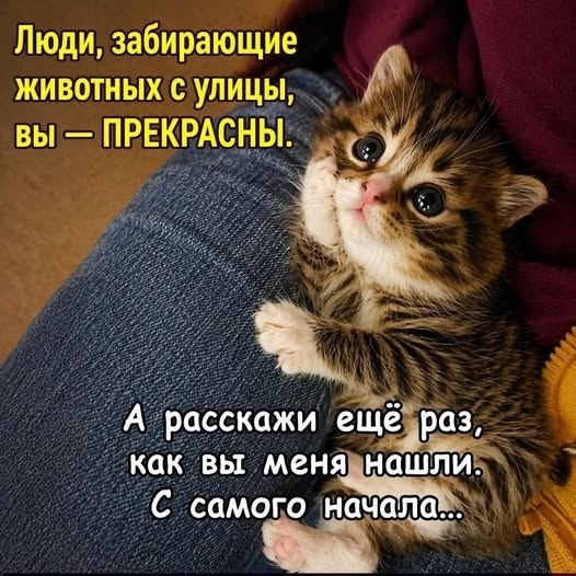 ��� ���� � ����� �� �� - 1 ���� 2026 � 00:25