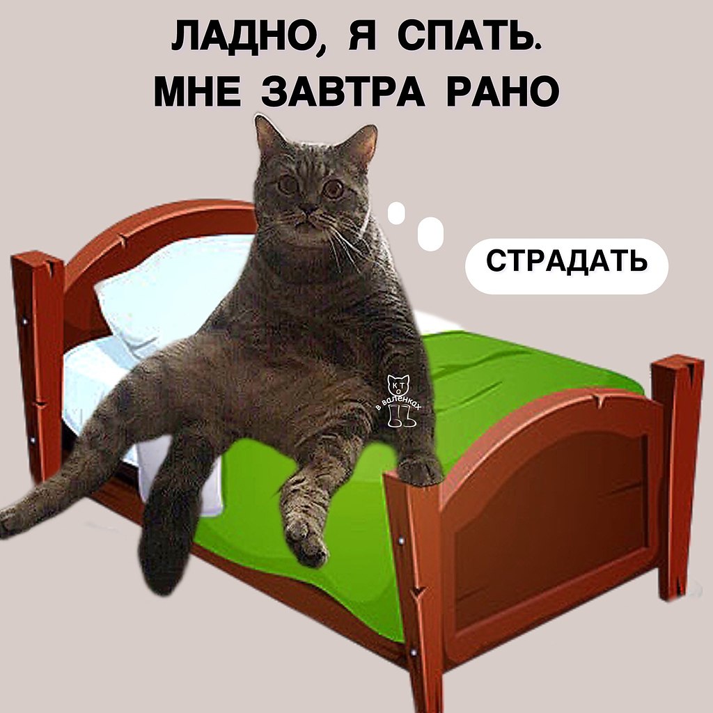 ��� ���� - 14 ������ 2026 � 23:07