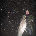 ���� ����, ������, 51 ��� - ��������� 31 ������ 2024