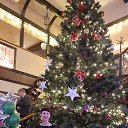 ���� ��������, ������ ����, 56 ��� - ��������� 8 ������ 2025