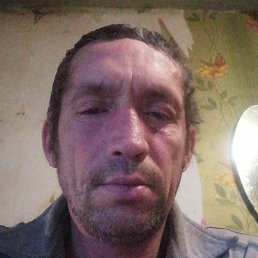 ���������, ������, 50 ���