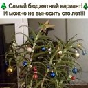 ���� �����, ������, 49 ��� - ��������� 26 ������� 2025 � ������ �������