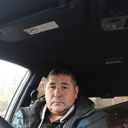 , 51, 