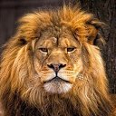 ���� Helga, ������� - ��������� 2 ���� 2024 � ������ ������ ��������