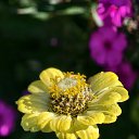 ���� �������, ������, 60 ��� - ��������� 7 �������� 2025 � ������ �������