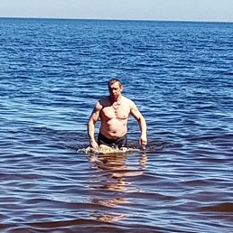 ���� ���������, �����-���������, 43 ���� - ��������� 3 ������ 2026