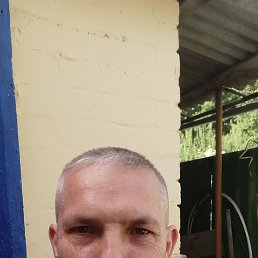 , 45, 