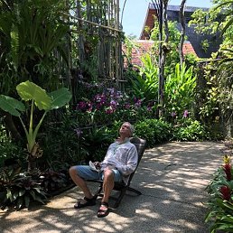 Igor, �������