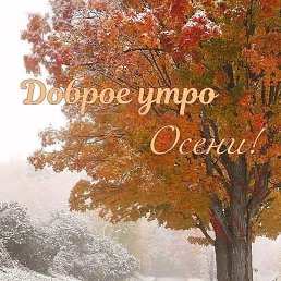 ����, ������, 62 ����