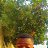 ���� Odrick, �����������, 26 ��� - ��������� 30 ������� 2023