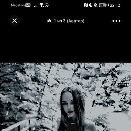, 32, 