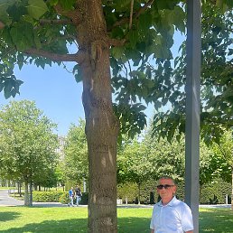 �����, ���������, 56 ���