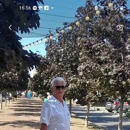 , 54 , 