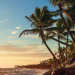 Ekaterina, ��������, 37 ���