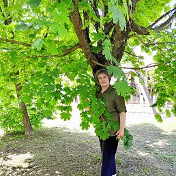 ��������, ����������, 57 ���