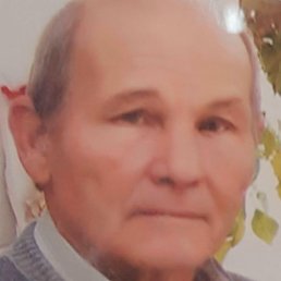 ����, ������, 81 ���