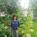 ���� �����, �������, 52 ���� - ��������� 9 ������� 2026 � ������ ���� ����������