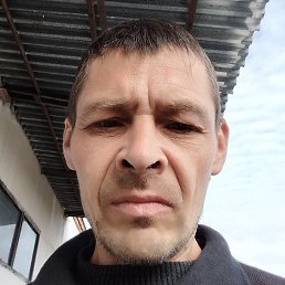 ������, ������, 46 ���