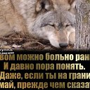 ���� ������, ������, 39 ��� - ��������� 24 ���� 2026 � ������ ���� ����������