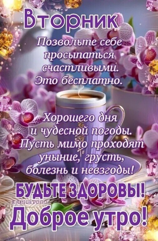 ***Victoria Viktorovna*** - 9  2024  06:46