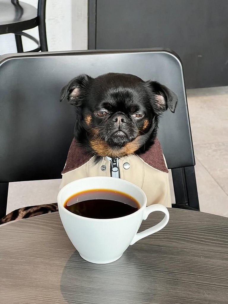 ϸ            .  ... - 2