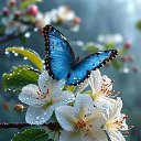 ���� �������, ������ - ��������� 18 ����� 2025 � ������ ���� ����������