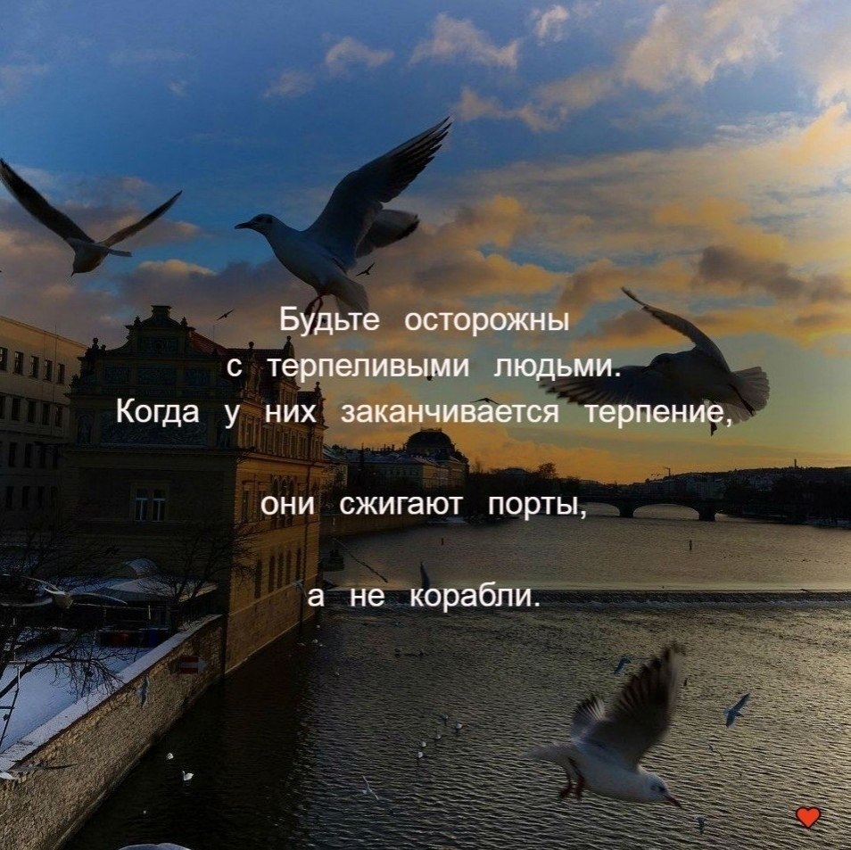 .�������. - 16 ������ 2025 � 16:18