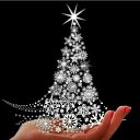 ���� ����� 288, ����� - ��������� 7 ������ 2026 � ������ ������ ��������