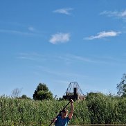 ������, 37 ���, �������