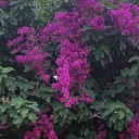  , --, 38  -  25  2025