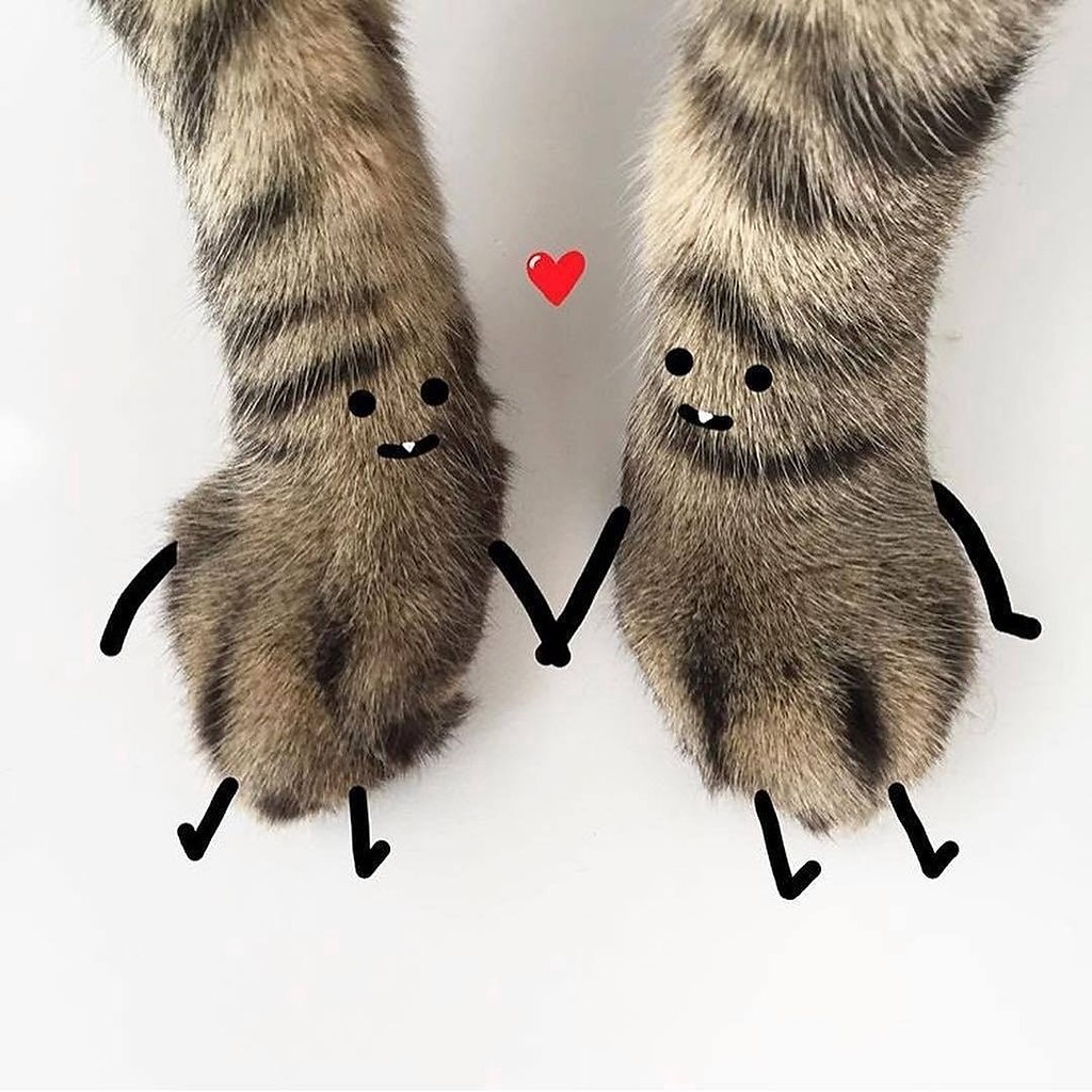 ��� ���� � ����� �� �� - 2 ���� 2026 � 11:25 - 6