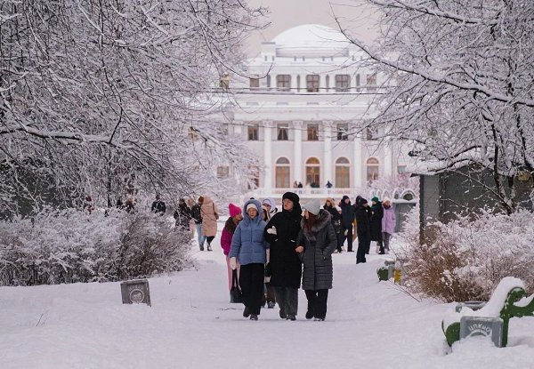 Настоящая зимняя сказка сейчас на Елагином острове. - 7