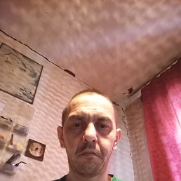 Алексей, 45 лет, Новосибирск Алексей, 45 лет, Новосибирск