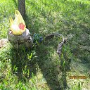  , , 60  -  24  2025          3 