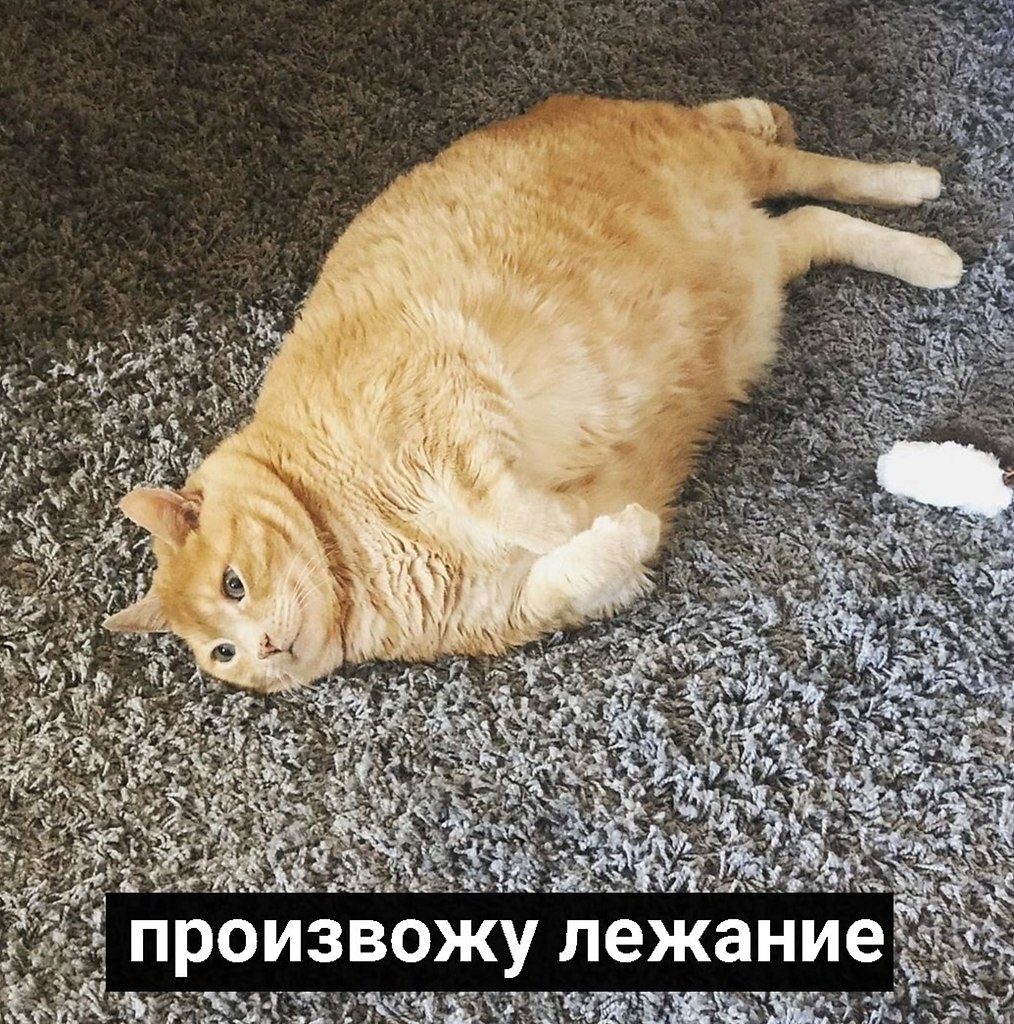 Коротко о том, чем я буду заниматься в выходные - 6