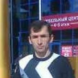 ����� �������, �������, 41 ���