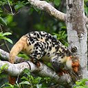 ���� �����������, ������ - ��������� 3 ������� 2025 � ������ ������ ��������