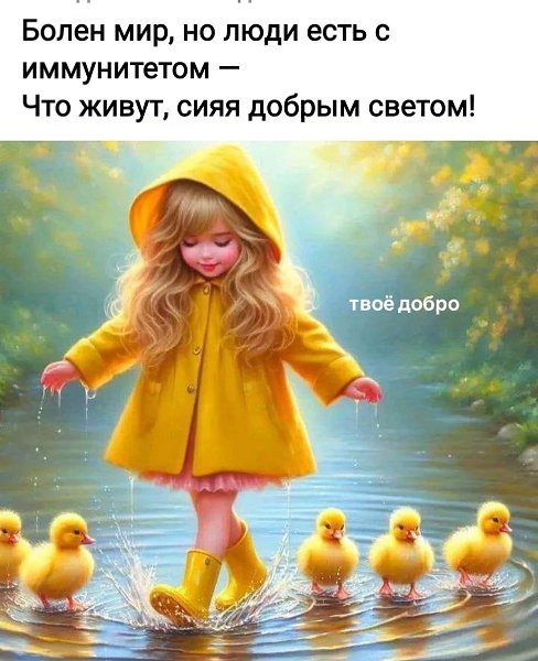 *T* - 17  2024  08:26