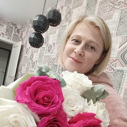 ����, �������, 54 ����