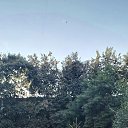  ,  , 47  -  24  2025    