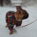 ���� �����, ��������, 57 ��� - ��������� 21 ������ 2025 � ������ ������ ��������