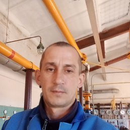, 36, 