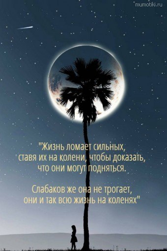 ОБО ВСЕМ - 24 октября 2025 в 15:37