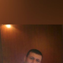 , 49 , 